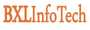 BXLInfotech Consultancy logo